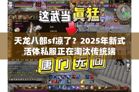 天龙八部sf凉了？2025年新式活体私服正在淘汰传统端