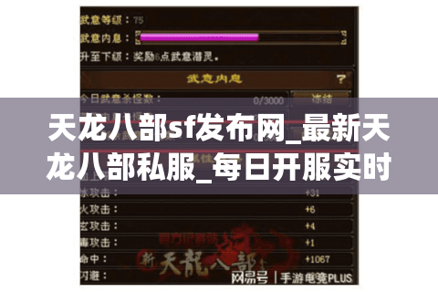 天龙八部sf发布网_最新天龙八部私服_每日开服实时更新