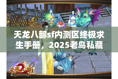 天龙八部sf内测区终极求生手册，2025老鸟私藏实战路线