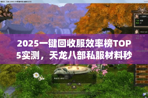 2025一键回收服效率榜TOP5实测,天龙八部私服材料秒变现指南 2025一键回收服效率榜TOP5实测,天龙八部私服材料秒变现指南