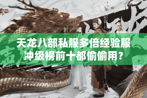 天龙八部私服多倍经验服冲级榜前十都偷偷用？