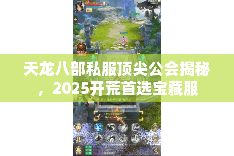 天龙八部私服顶尖公会揭秘，2025开荒首选宝藏服