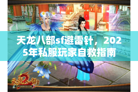 天龙八部sf避雷针,2025年私服玩家自救指南 天龙八部sf避雷针,2025年私服玩家自救指南