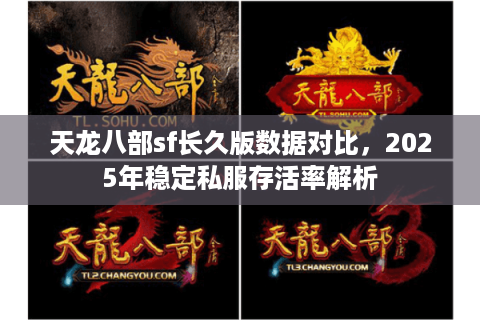 天龙八部sf长久版数据对比,2025年稳定私服存活率解析 天龙八部sf长久版数据对比,2025年稳定私服存活率解析