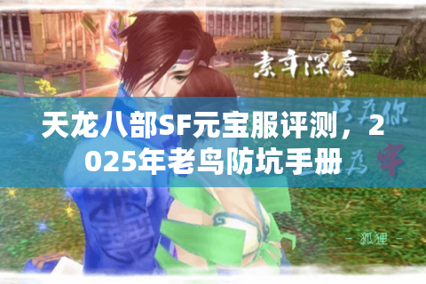 天龙八部SF元宝服评测，2025年老鸟防坑手册