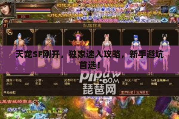 天龙SF刚开,独家速入攻略,新手避坑首选! 天龙SF刚开,独家速入攻略,新手避坑首选!