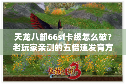 天龙八部66sf卡级怎么破?老玩家亲测的五倍速发育方案 天龙八部66sf卡级怎么破?老玩家亲测的五倍速发育方案
