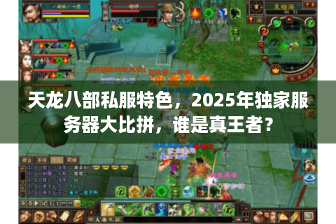 天龙八部私服特色,2025年独家服务器大比拼,谁是真王者? 天龙八部私服特色,2025年独家服务器大比拼,谁是真王者?