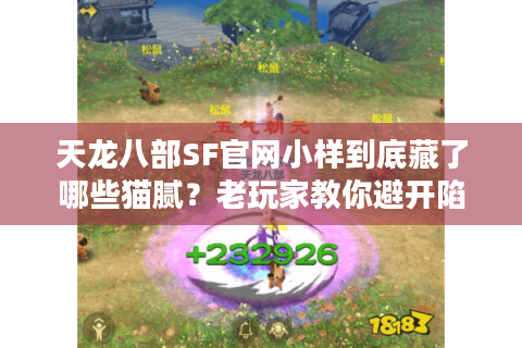 天龙八部SF官网小样到底藏了哪些猫腻?老玩家教你避开陷阱选真香服 天龙八部SF官网小样到底藏了哪些猫腻?老玩家教你避开陷阱选真香服