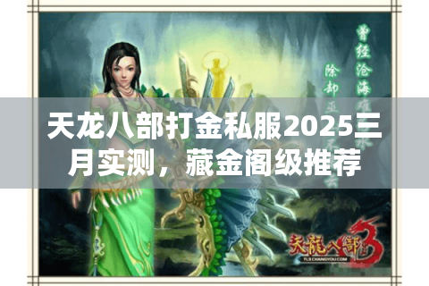 天龙八部打金私服2025三月实测,藏金阁级推荐 天龙八部打金私服2025三月实测,藏金阁级推荐