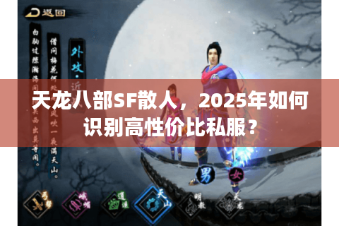 天龙八部SF散人,2025年如何识别高性价比私服? 天龙八部SF散人,2025年如何识别高性价比私服?