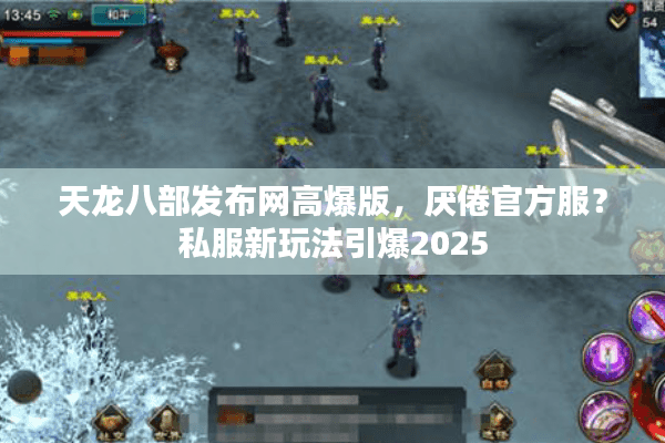 天龙八部发布网高爆版，厌倦官方服？私服新玩法引爆2025