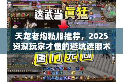 天龙老炮私服推荐,2025资深玩家才懂的避坑选服术 天龙老炮私服推荐,2025资深玩家才懂的避坑选服术