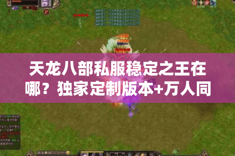 天龙八部私服稳定之王在哪?独家定制版本+万人同服不掉线! 天龙八部私服稳定之王在哪?独家定制版本+万人同服不掉线!