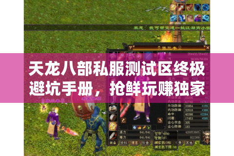 天龙八部私服测试区终极避坑手册，抢鲜玩赚独家福利