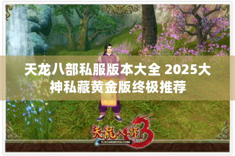 天龙八部私服版本大全 2025大神私藏黄金版终极推荐 天龙八部私服版本大全 2025大神私藏黄金版终极推荐