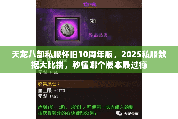 天龙八部私服怀旧10周年版,2025私服数据大比拼,秒懂哪个版本最过瘾 天龙八部私服怀旧10周年版,2025私服数据大比拼,秒懂哪个版本最过瘾