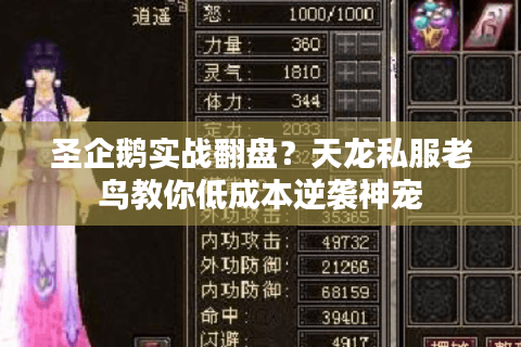 圣企鹅实战翻盘?天龙私服老鸟教你低成本逆袭神宠 圣企鹅实战翻盘?天龙私服老鸟教你低成本逆袭神宠