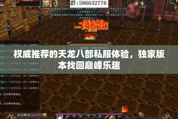 权威推荐的天龙八部私服体验，独家版本找回巅峰乐趣
