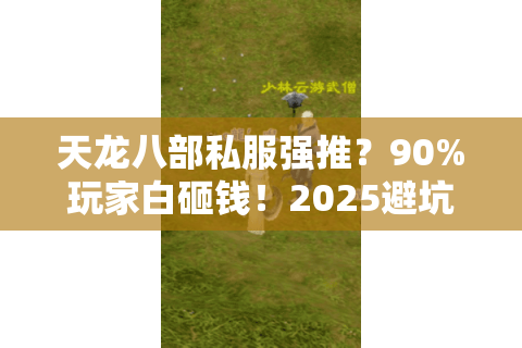 天龙八部私服强推?90%玩家白砸钱!2025避坑血泪史 天龙八部私服强推?90%玩家白砸钱!2025避坑血泪史