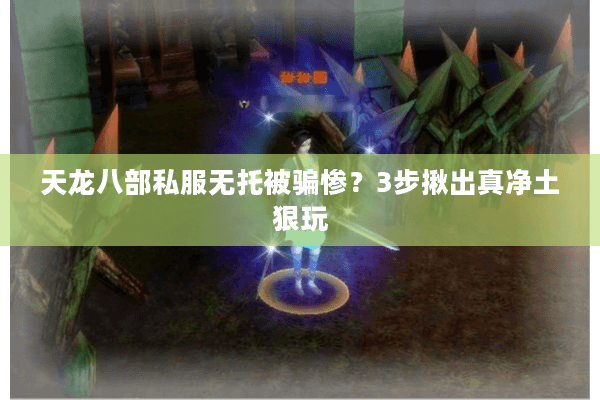 天龙八部私服无托被骗惨?3步揪出真净土狠玩 天龙八部私服无托被骗惨?3步揪出真净土狠玩