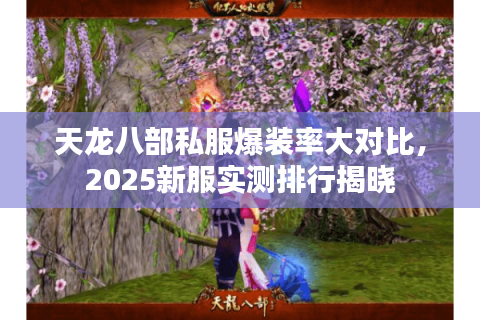 天龙八部私服爆装率大对比，2025新服实测排行揭晓