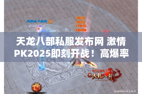 天龙八部私服发布网 激情PK2025即刻开战！高爆率私服一网打尽