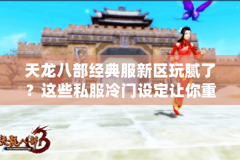 天龙八部经典服新区玩腻了?这些私服冷门设定让你重回2009年热血 天龙八部经典服新区玩腻了?这些私服冷门设定让你重回2009年热血