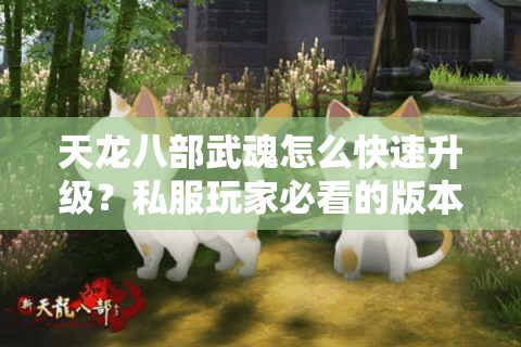 天龙八部武魂怎么快速升级？私服玩家必看的版本差异与实战攻略