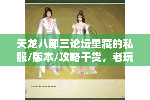 天龙八部三论坛里藏的私服/版本/攻略干货，老玩家为啥都偷偷看？