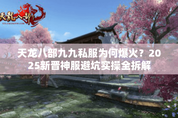 天龙八部九九私服为何爆火？2025新晋神服避坑实操全拆解