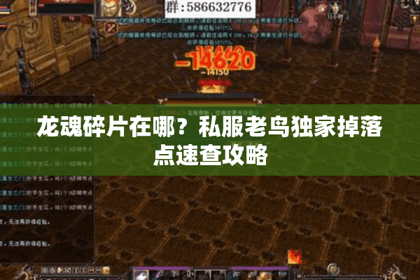龙魂碎片在哪?私服老鸟独家掉落点速查攻略 龙魂碎片在哪?私服老鸟独家掉落点速查攻略