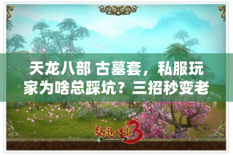 天龙八部 古墓套,私服玩家为啥总踩坑?三招秒变老司机 天龙八部 古墓套,私服玩家为啥总踩坑?三招秒变老司机