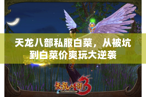 天龙八部私服白菜,从被坑到白菜价爽玩大逆袭 天龙八部私服白菜,从被坑到白菜价爽玩大逆袭