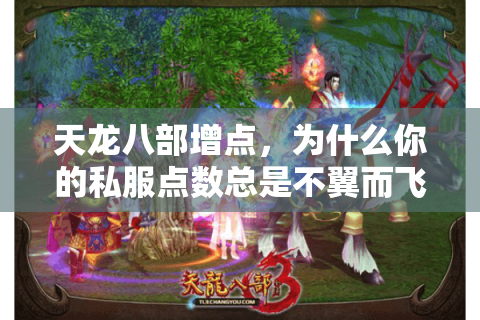 天龙八部增点,为什么你的私服点数总是不翼而飞? 天龙八部增点,为什么你的私服点数总是不翼而飞?