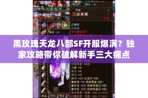 黑玫瑰天龙八部SF开服爆满?独家攻略带你破解新手三大痛点 黑玫瑰天龙八部SF开服爆满?独家攻略带你破解新手三大痛点