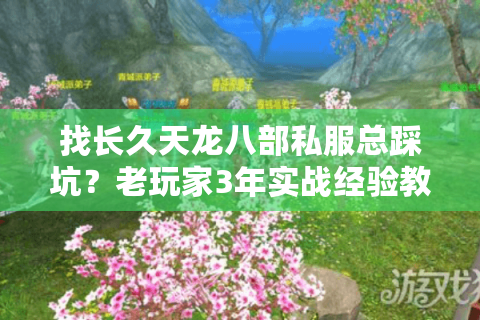 找长久天龙八部私服总踩坑?老玩家3年实战经验教你精准避坑选对服 找长久天龙八部私服总踩坑?老玩家3年实战经验教你精准避坑选对服