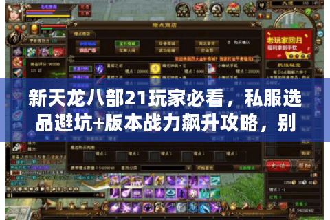 新天龙八部21玩家必看，私服选品避坑+版本战力飙升攻略，别再瞎试了！
