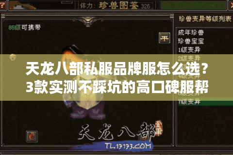 天龙八部私服品牌服怎么选？3款实测不踩坑的高口碑服帮你避雷