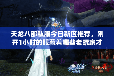 天龙八部私服今日新区推荐，刚开1小时的服藏着哪些老玩家才懂的爽点？