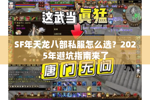 SF年天龙八部私服怎么选?2025年避坑指南来了 SF年天龙八部私服怎么选?2025年避坑指南来了
