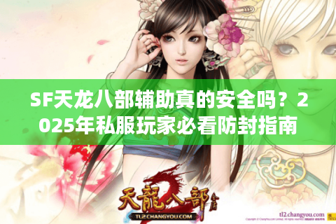SF天龙八部辅助真的安全吗？2025年私服玩家必看防封指南