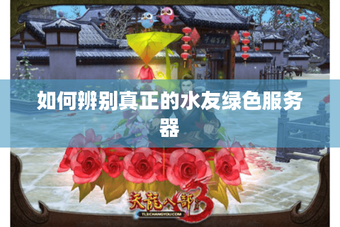 如何辨别真正的水友绿色服务器 如何辨别真正的水友绿色服务器
