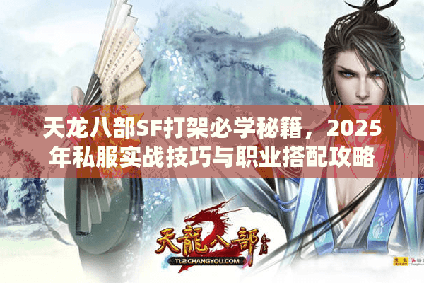 天龙八部SF打架必学秘籍，2025年私服实战技巧与职业搭配攻略