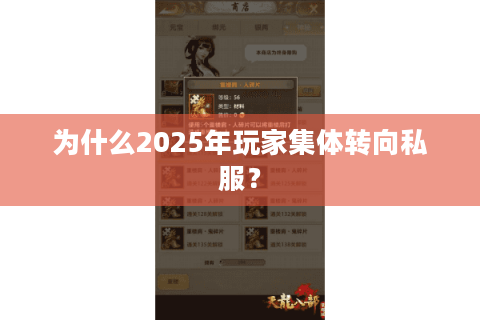 为什么2025年玩家集体转向私服？