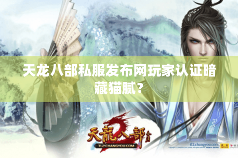 天龙八部私服发布网玩家认证暗藏猫腻? 天龙八部私服发布网玩家认证暗藏猫腻?