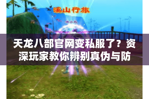 天龙八部官网变私服了？资深玩家教你辨别真伪与防骗攻略