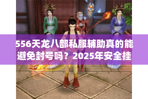 556天龙八部私服辅助真的能避免封号吗？2025年安全挂机攻略