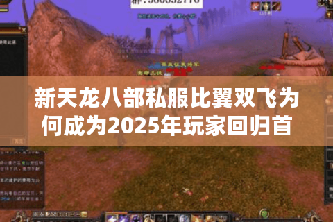 新天龙八部私服比翼双飞为何成为2025年玩家回归首选? 新天龙八部私服比翼双飞为何成为2025年玩家回归首选?