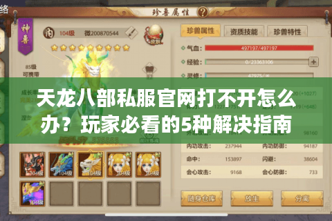 天龙八部私服官网打不开怎么办？玩家必看的5种解决指南